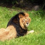 Bioparco Roma