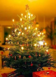 Albero Di Natale Vero Ikea.Dove Acquistare Il Vostro Albero Di Natale A Roma Negozi Di Roma